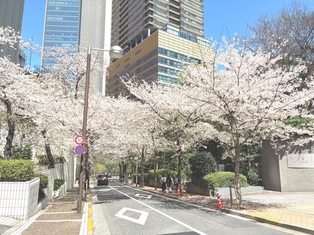 SAION SAKURAZAKA — photo 3